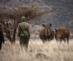 Hotel Elewana Lewa Safari Camp
