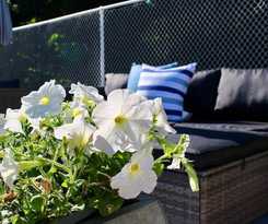 Hotel Lakeview Motel and Cottages