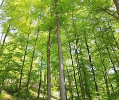  Landgasthaus zur Brücke