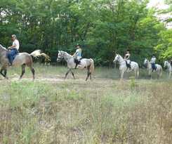 Hotel Geréby Kúria és Lovasudvar