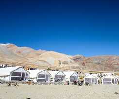 Monalisa Camp