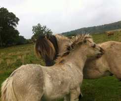 Hotel Sk&auml;rva Herrg&aring;rd
