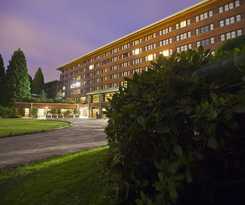 Disney Sequoia Lodge