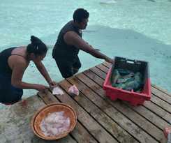 Hotel Tetamanu Village