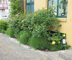 Pension Genat