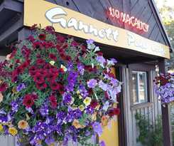 Hotel Gannett Peak Lodge