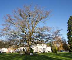 Hotel Wrexham Llyndir Hall , Bw Signature Collection