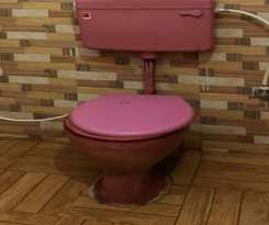 Hotel SPOT ON 49131 New Shiv Shakti