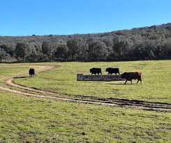 Viviendas Turísticas Vacacionales Casa Juana Michibert