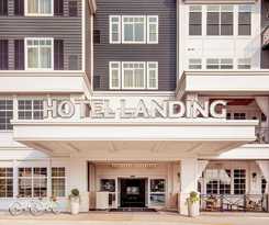 The Landing