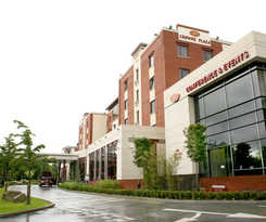 Crowne Plaza Dublin Airport, An Ihg