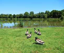 CAMPING CAMPILO