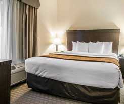 Hotel Spark by Hilton Vestal Binghamton University Area