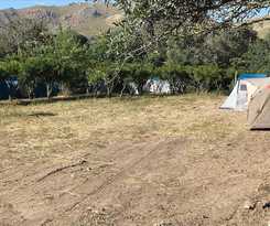 Bodrum Masali Camping - Hostel