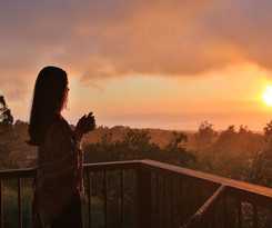 Hotel Senda Monteverde Member of the Cayuga Collection