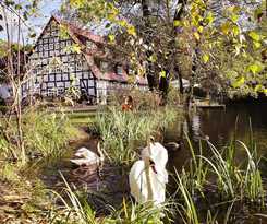 Springbach-Mühle Belzig