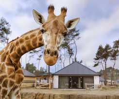 Hotel Safari Resort Beekse Bergen