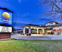 Hotel Comfort Inn and Suites Ambassador Bridge