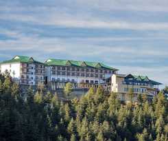 Hotel Taj Theog Resort and Spa, Shimla