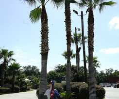 Hotel Savannah Inn and Suites