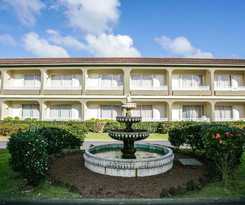 Canadiano - Urban Nature