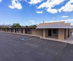  The Golden Spur