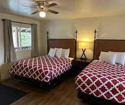 Hotel Snow Bear Lodge