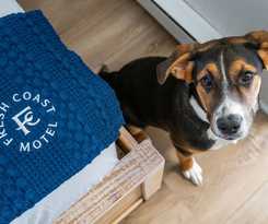 Hotel Fresh Coast Motel