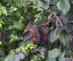 Hotel Seerösl Wörthersee Kärnten