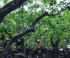 Hotel Talikud Island Mangrove Beach Resort