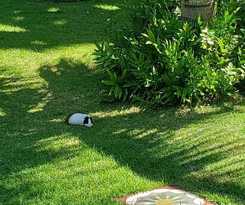 Hotel Pousada Conquistador