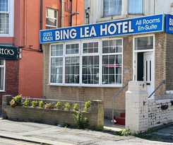 OYO Binglea
