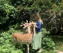 Polonezköy Country Club and Accommodation in the Wildlife Park