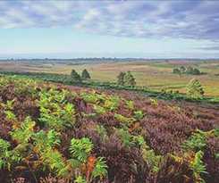 Mount Stuart