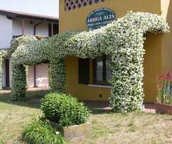 Arriga Alta