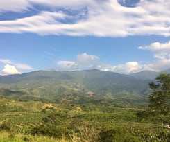Finca La Joya