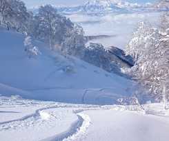 Hotel Nozawa Dream Central