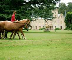Hotel Estancia La Candelaria