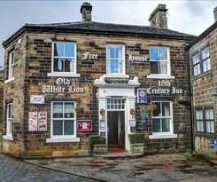 Hotel The Old White Lion