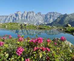 Hotel Berggasthaus Sustenpass Hospiz - Hostel