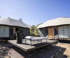 Hotel Trees and Tigers