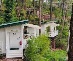 Kasauli Hills Resort