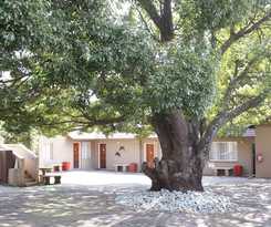 Hotel African Sky Bed and Breakfast