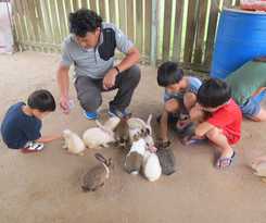 Hotel UK Farm Agro Resort