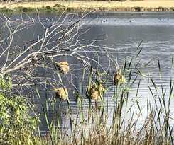 Hotel Rijks Wine Estate and - Adults Only