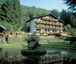 Wolffhotel