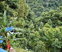 Hotel Jungle Crown Organic Homestay