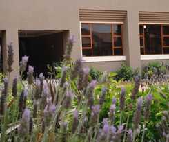 Hotel Ein Gedi Premier Lodge