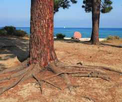 Camping U Casone