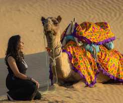 Marvin Desert Camp